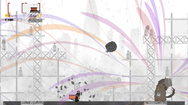 头顶相机的猫_2