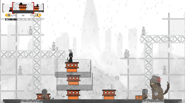 头顶相机的猫_1