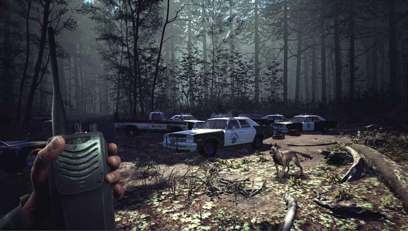 布莱尔女巫 Blair Witch_2