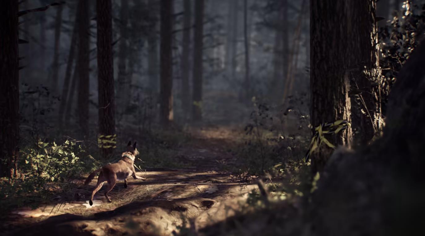 布莱尔女巫 Blair Witch_4