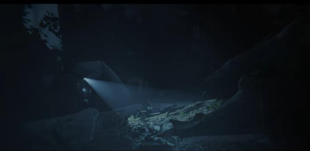 森林之子 Sons Of The Forest_0