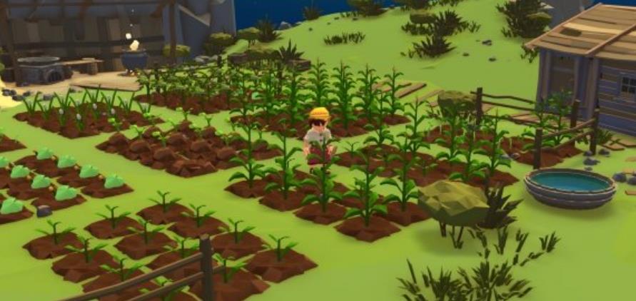 落难航船:诅咒之岛的探险者.Stranded Sails – Explorers_0