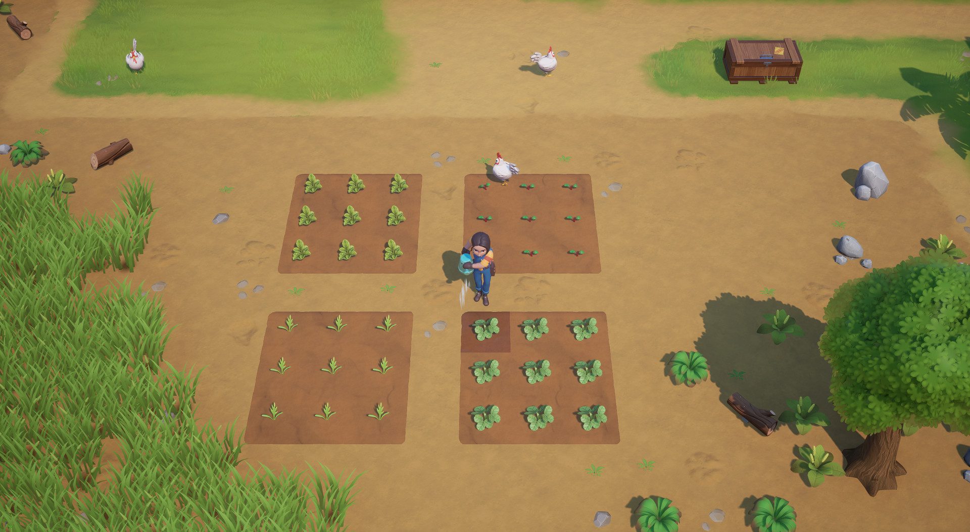 珊瑚岛 Coral Island_0