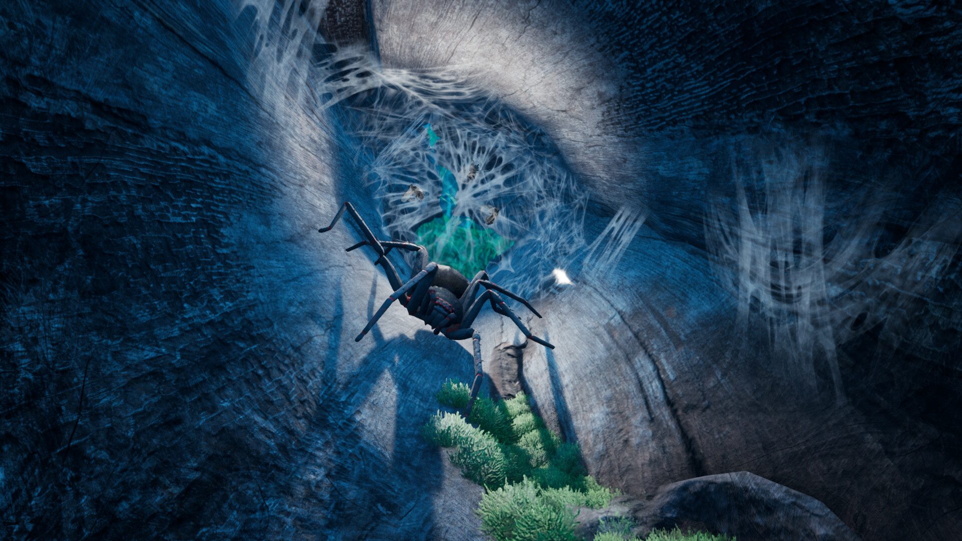 小小世界：野外求生 Smalland: Survive the Wilds_1