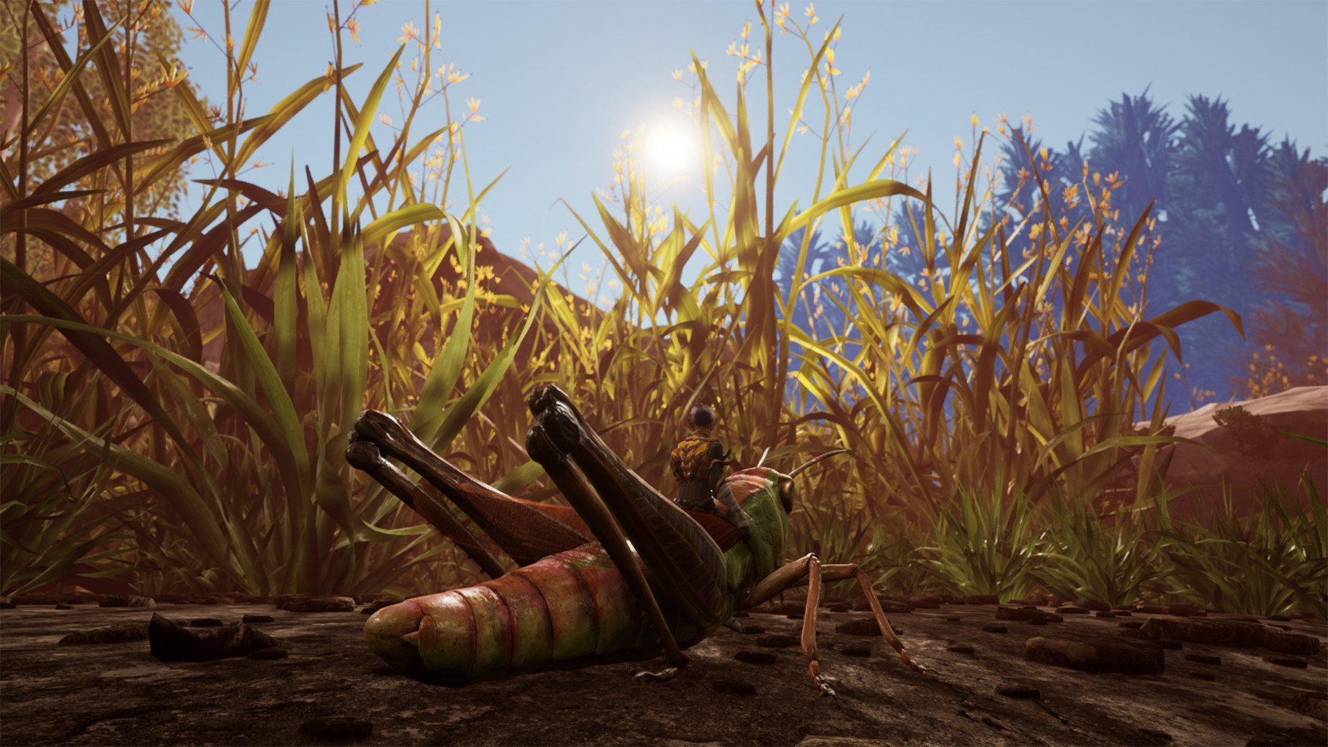 小小世界：野外求生 Smalland: Survive the Wilds_0