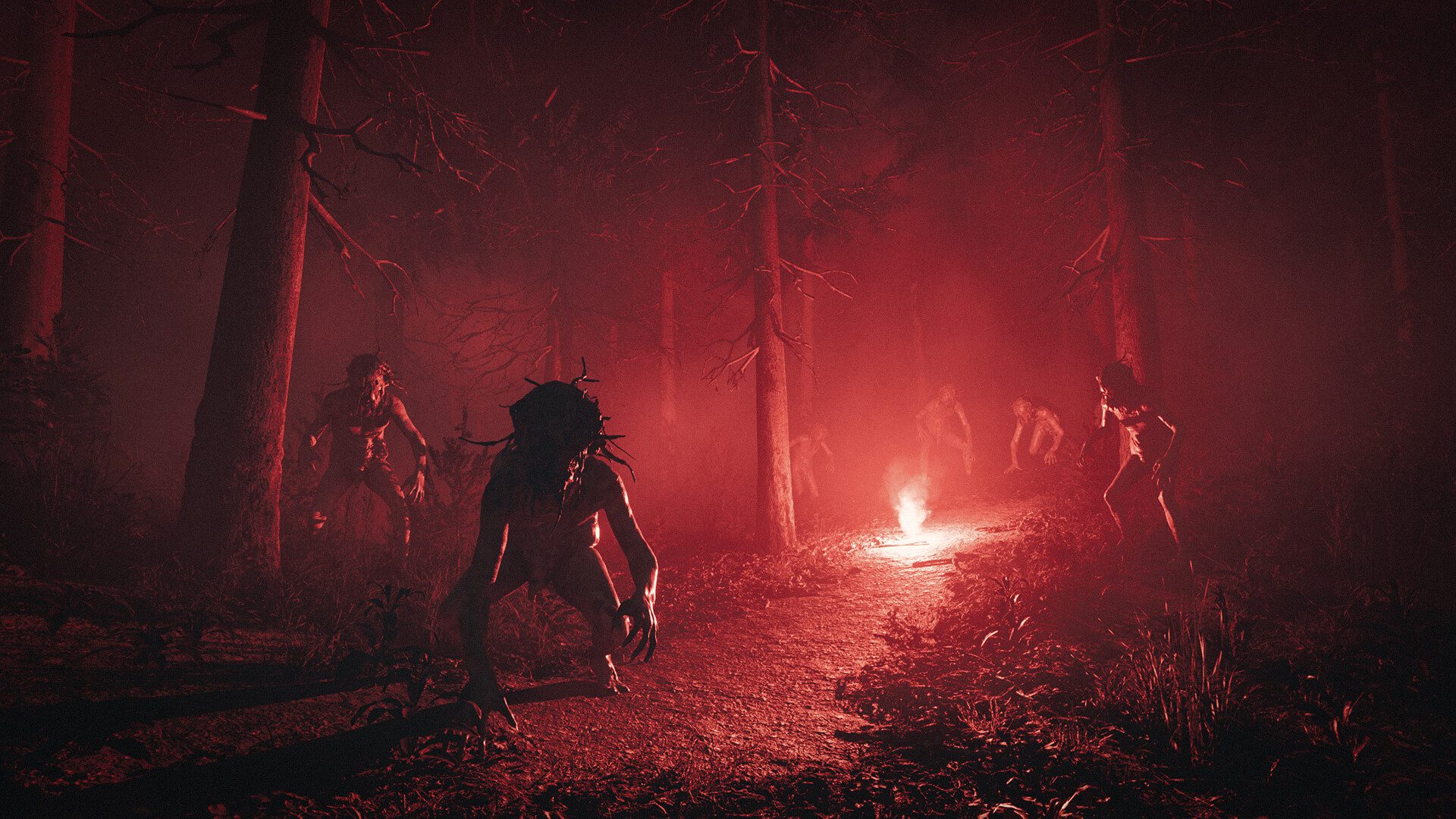 松树港 Pine Harbor_2