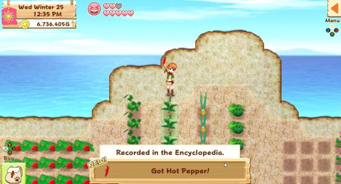 牧场物语：希望之光 特别版.Harvest Moon: Light of Hope Special Edition_1