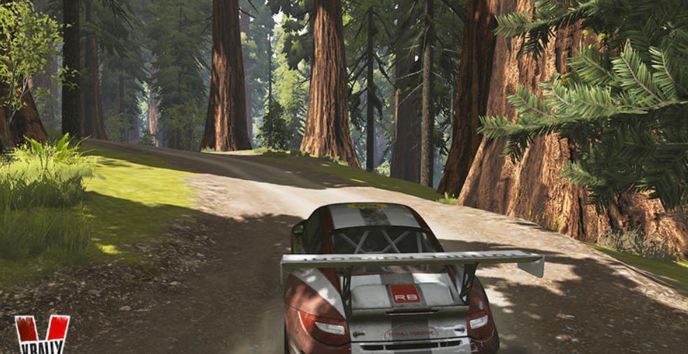 V拉力4.V-Rally 4_1