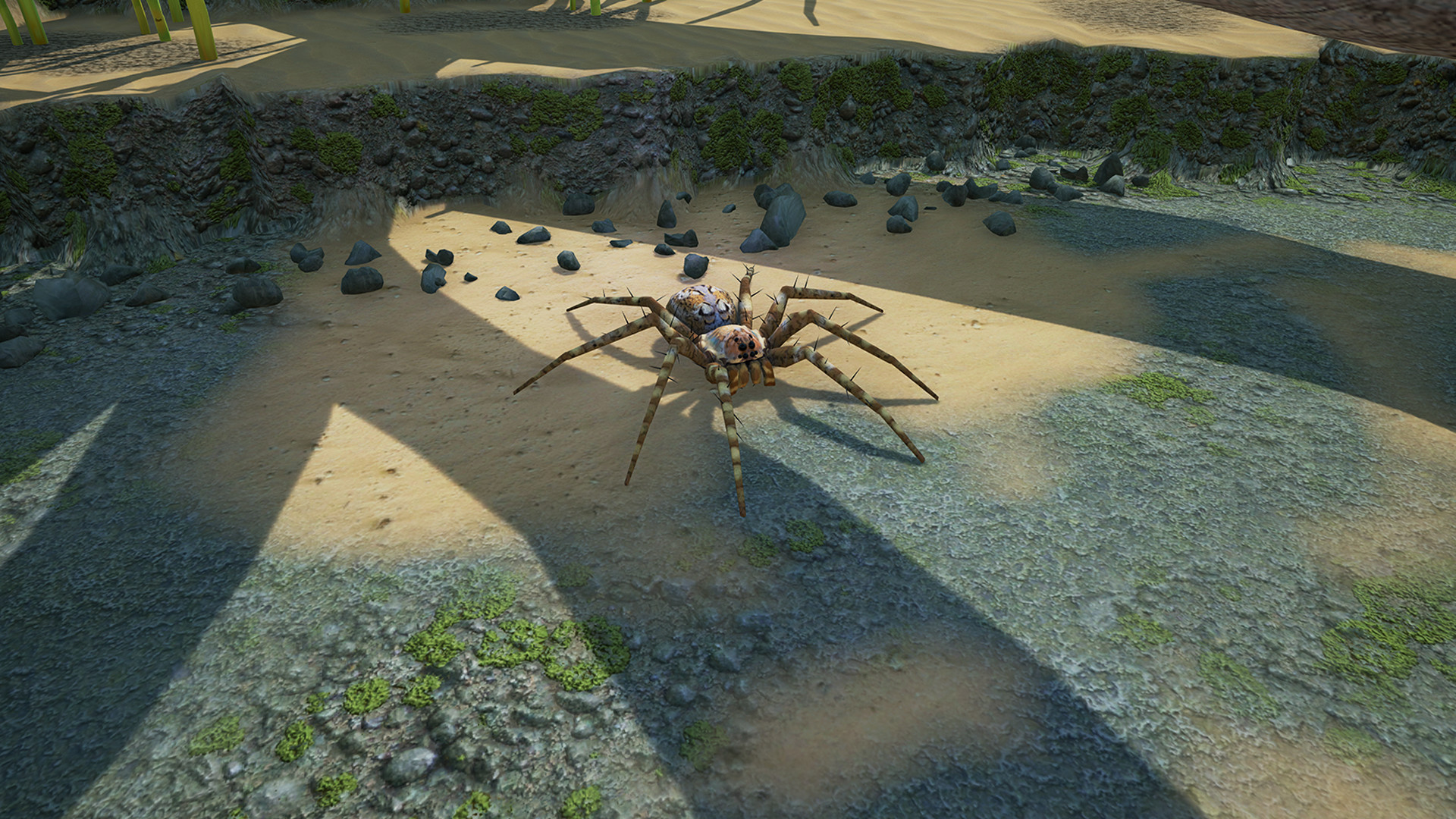 地下蚁国 Empires of the Undergrowth_0