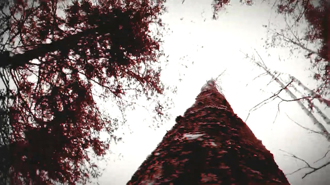 狼人之末日怒吼.Werewolf: The Apocalypse – Earthblood_0