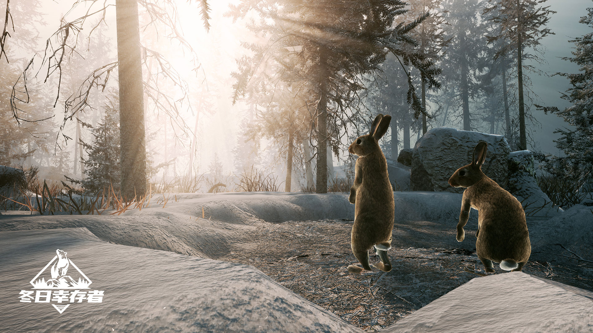 冬日幸存者 Winter Survival_1