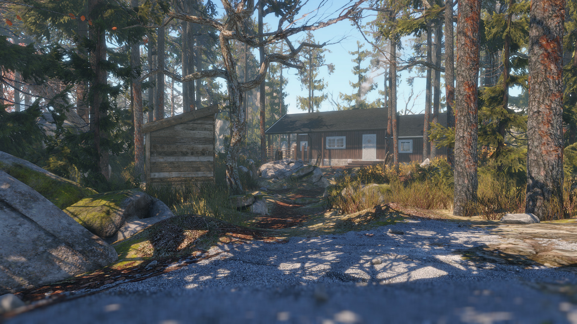 穿越林间.Through the Woods_2