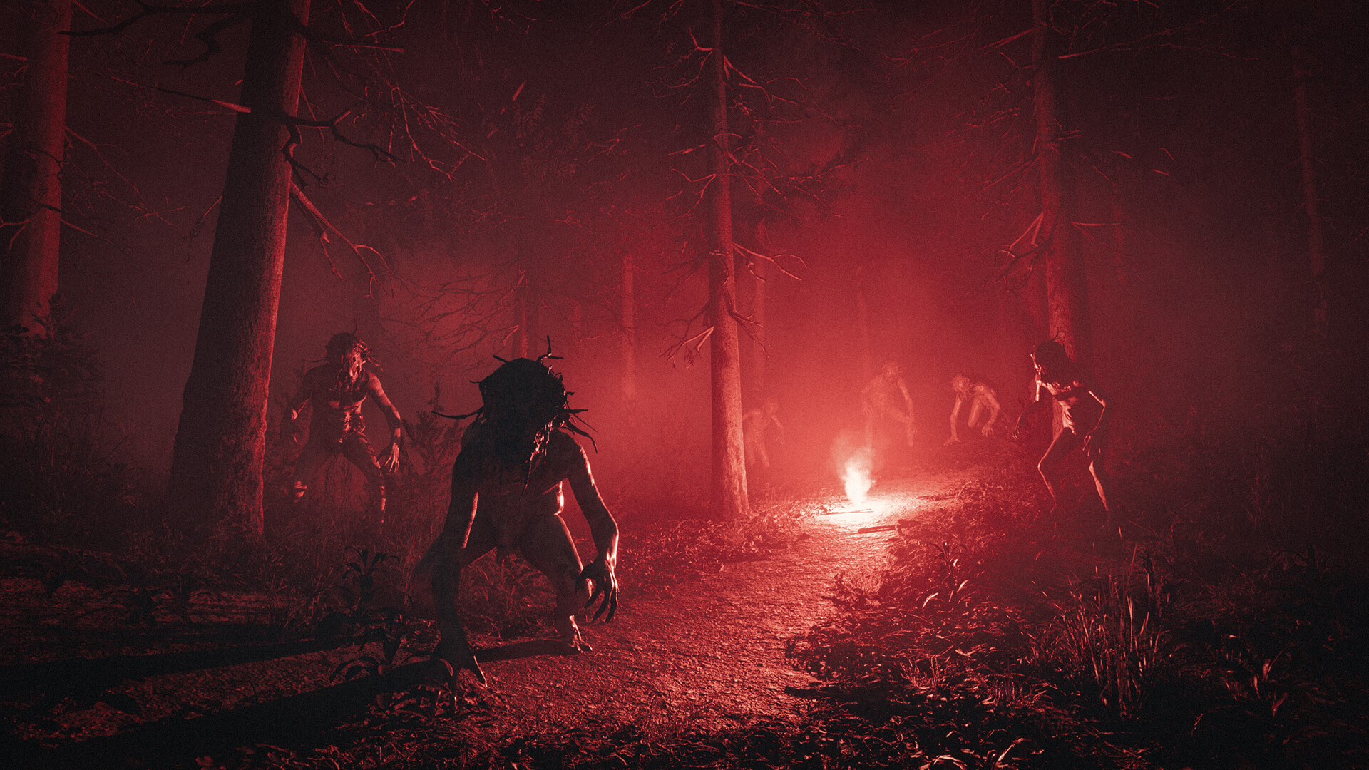 松树港 Pine Harbor_1