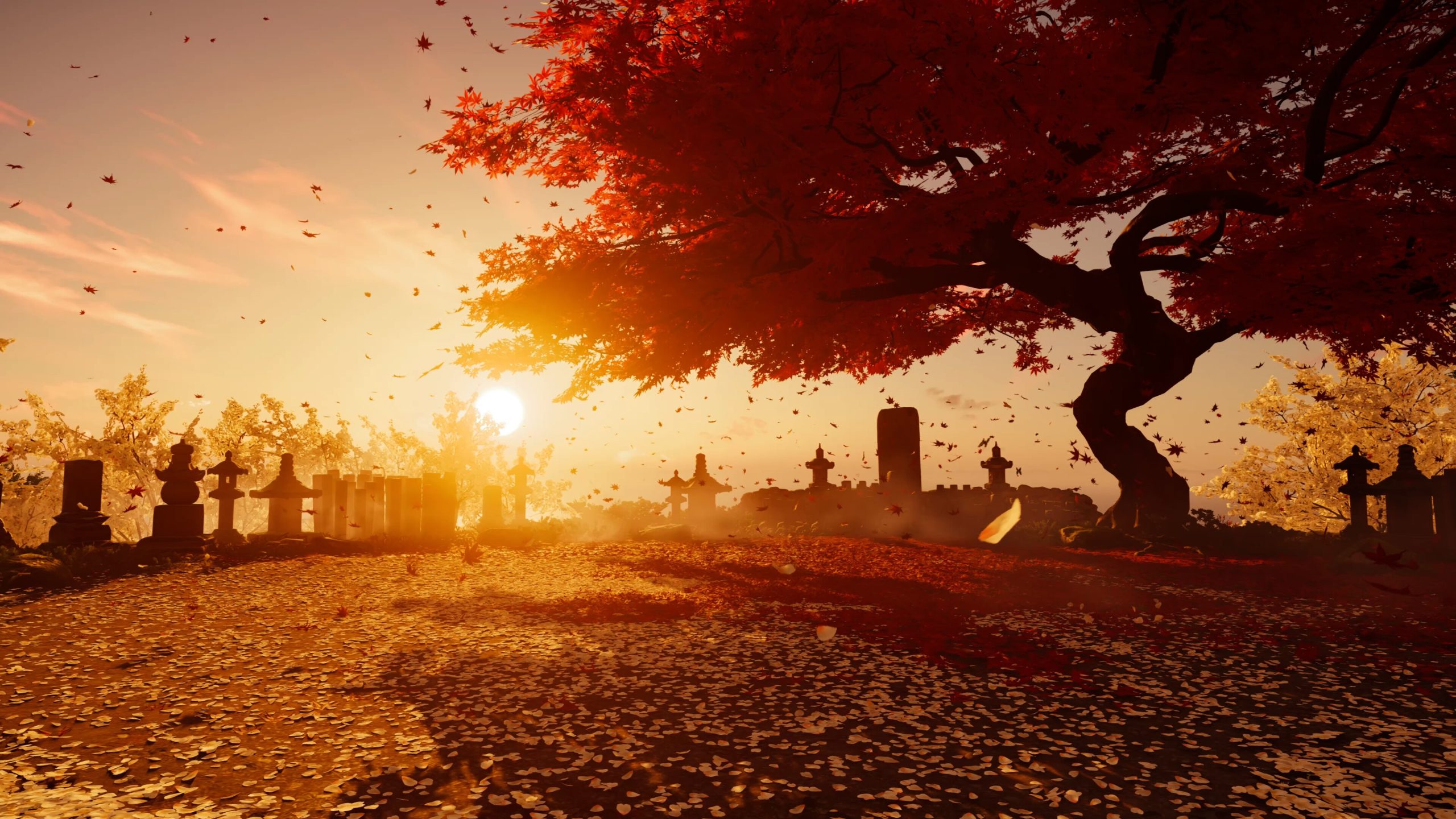 对马岛之魂：导演剪辑版 Ghost of Tsushima: Directors Cut_1