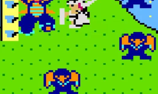 switch《街机档案 VS瓦基里历险记：时间钥匙的传说》金手指下载