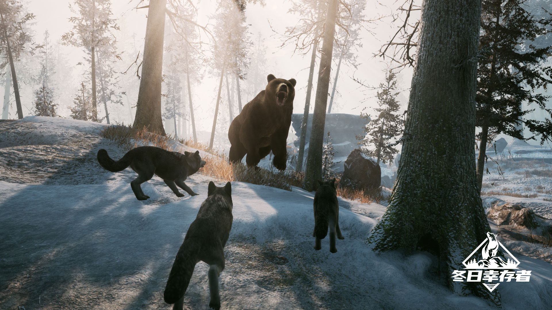 冬日幸存者 Winter Survival_1