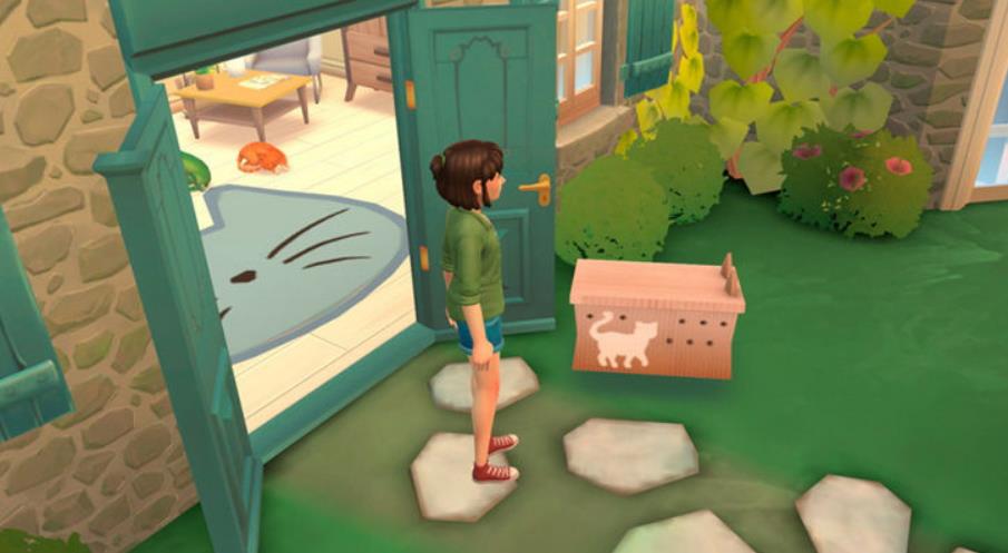 猫咪救援故事.Cat Rescue Story_0