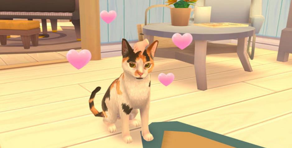 猫咪救援故事.Cat Rescue Story_1