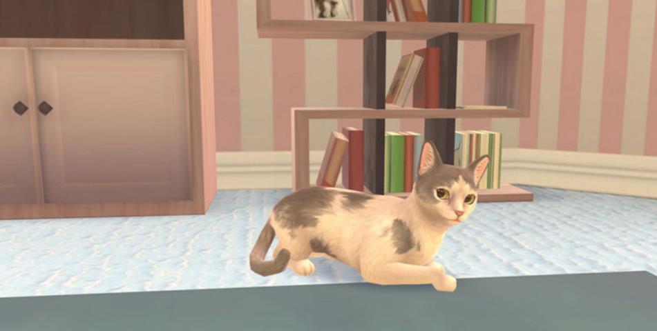 猫咪救援故事.Cat Rescue Story_2