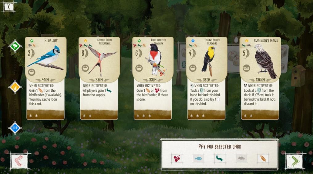 展翅翱翔 Wingspan_1