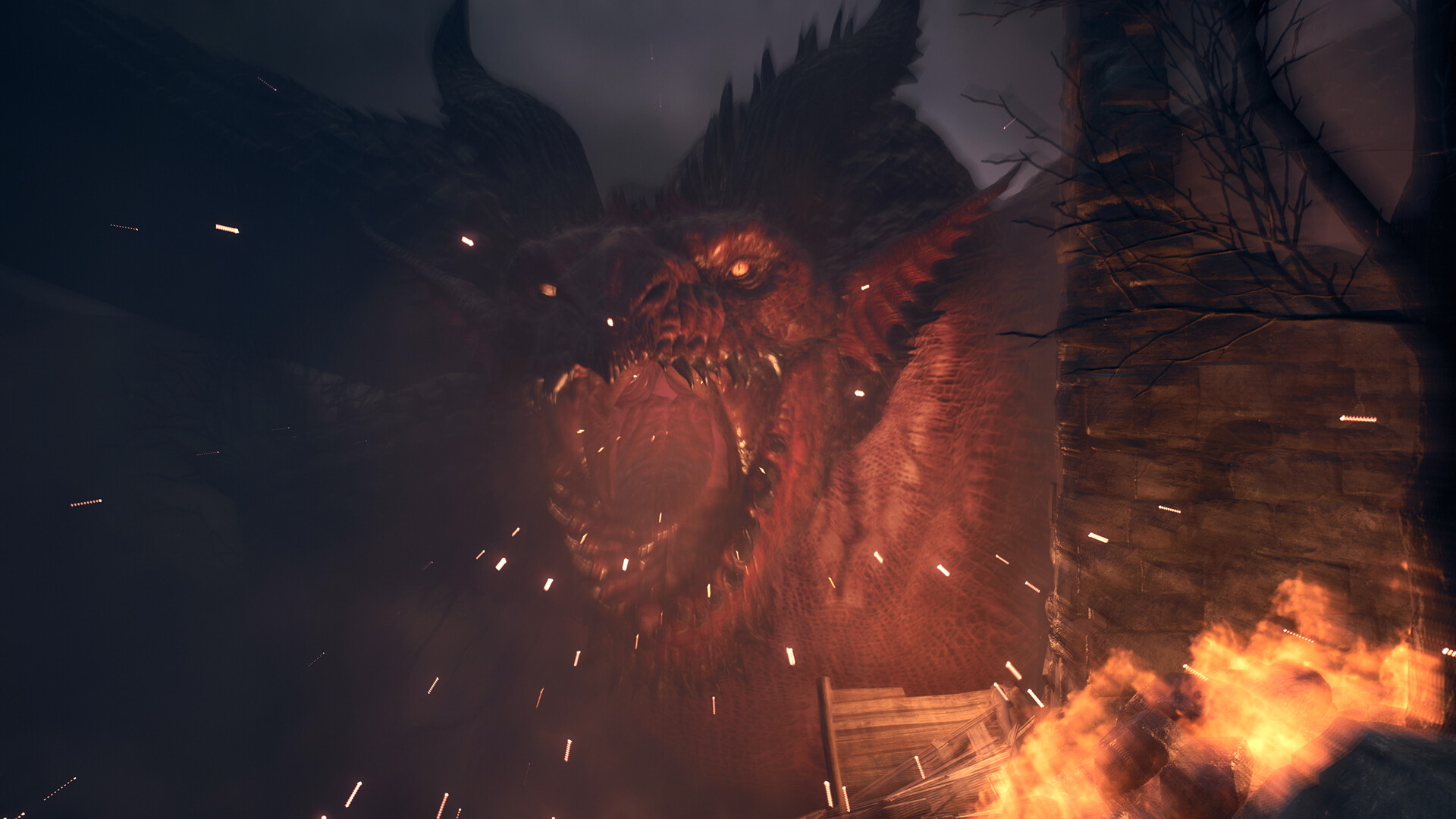 龙之信条2 Dragon's Dogma 2_0