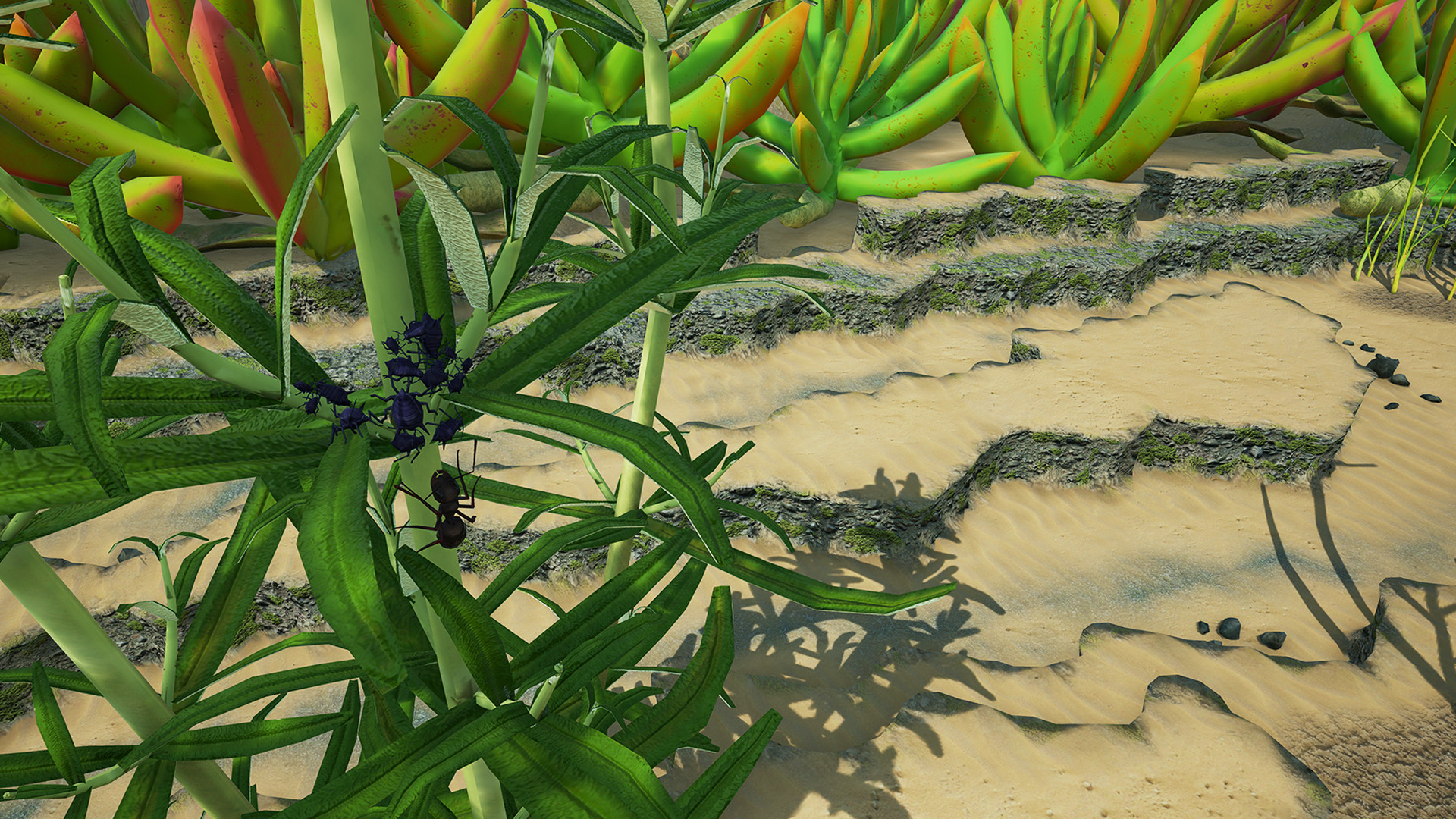 《地下蚁国 Empires of the Undergrowth》中文+Build.16828767-重铸模式+自定义殖民地+2张全新自定义游戏地图_0