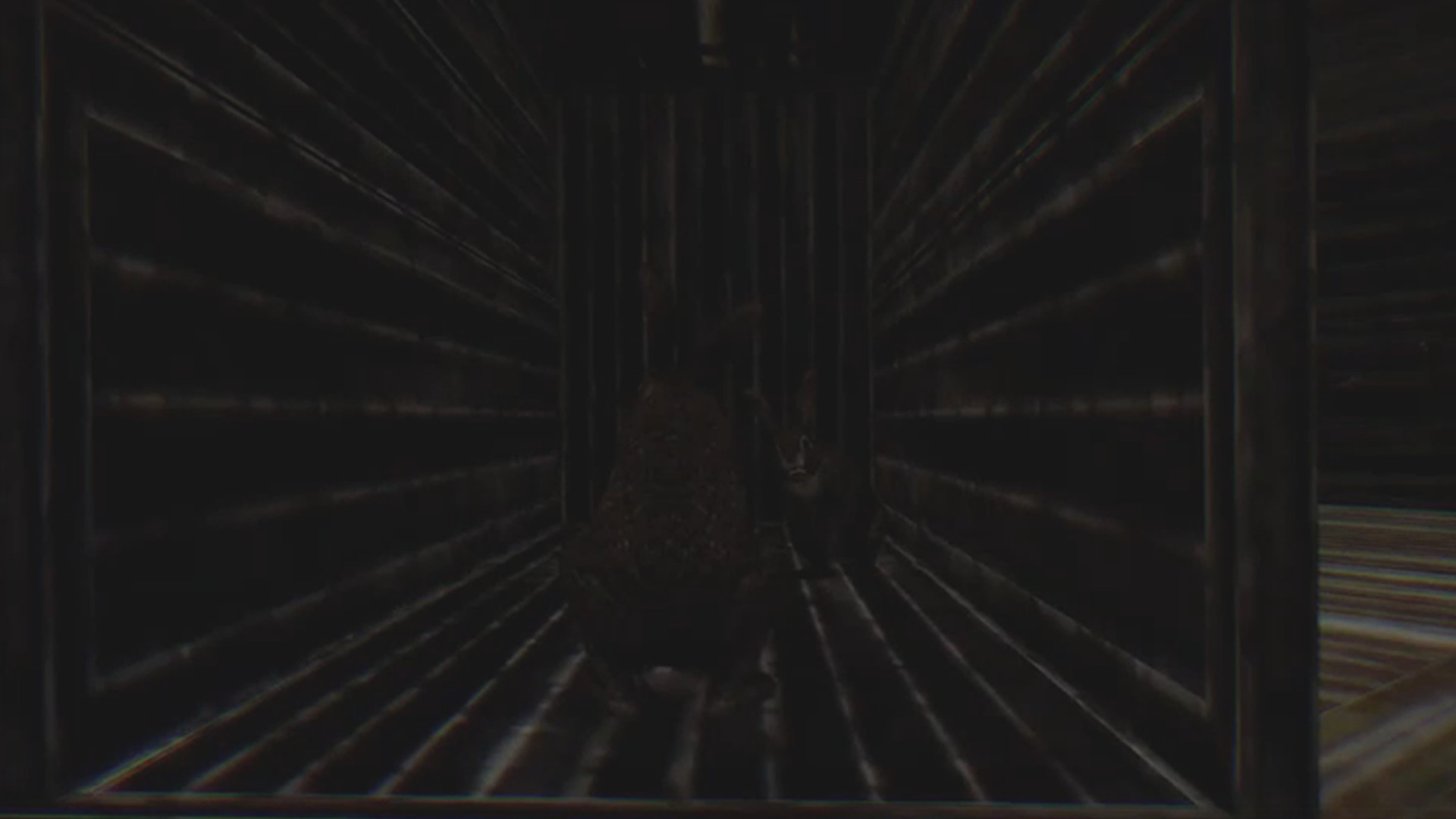 《兔子骚动 Rabbit Riot》中文v6263384_0