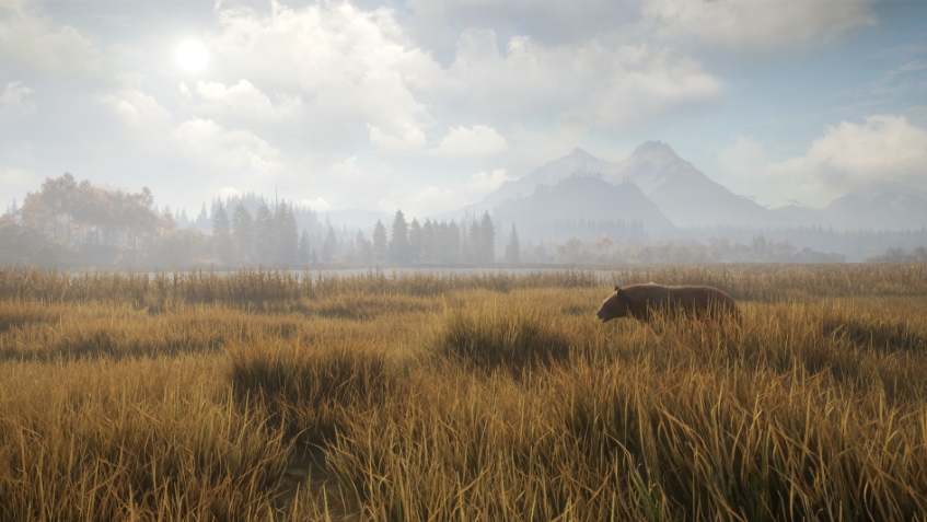 猎人:荒野的召唤 theHunter: Call of the Wild_0