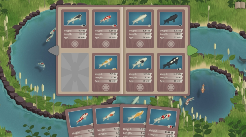 锦鲤养殖场 Koi Farm_0