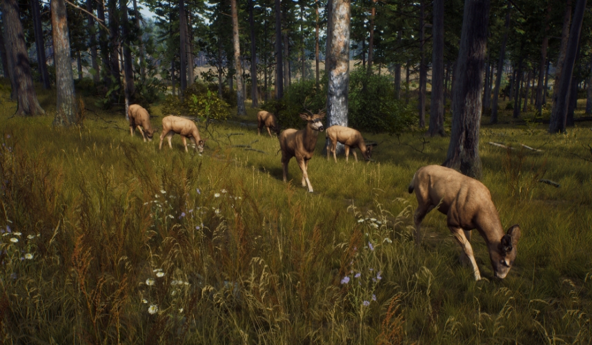 PS5游戏《猎人之路.Way of the Hunter》中文v01.000.000