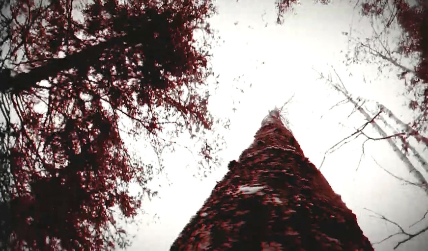 PS5游戏《狼人之末日怒吼：地灵之血.Werewolf: The Apocalypse – Earthblood》中文v1.000