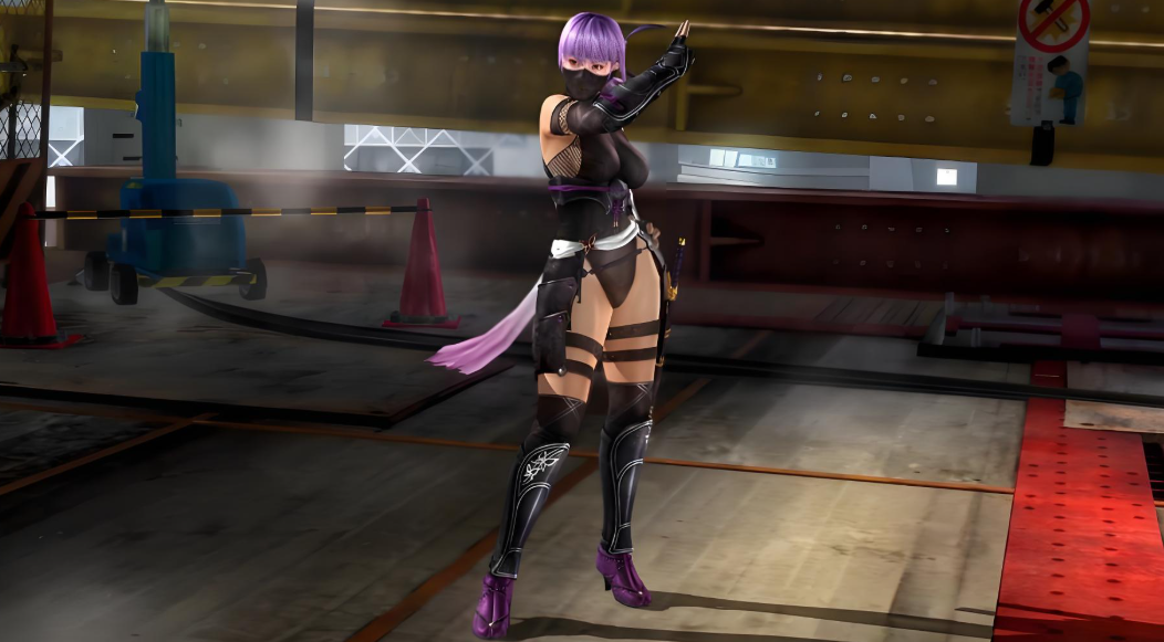 死或生5：最后一战 Dead Or Alive 5：Last Round_3