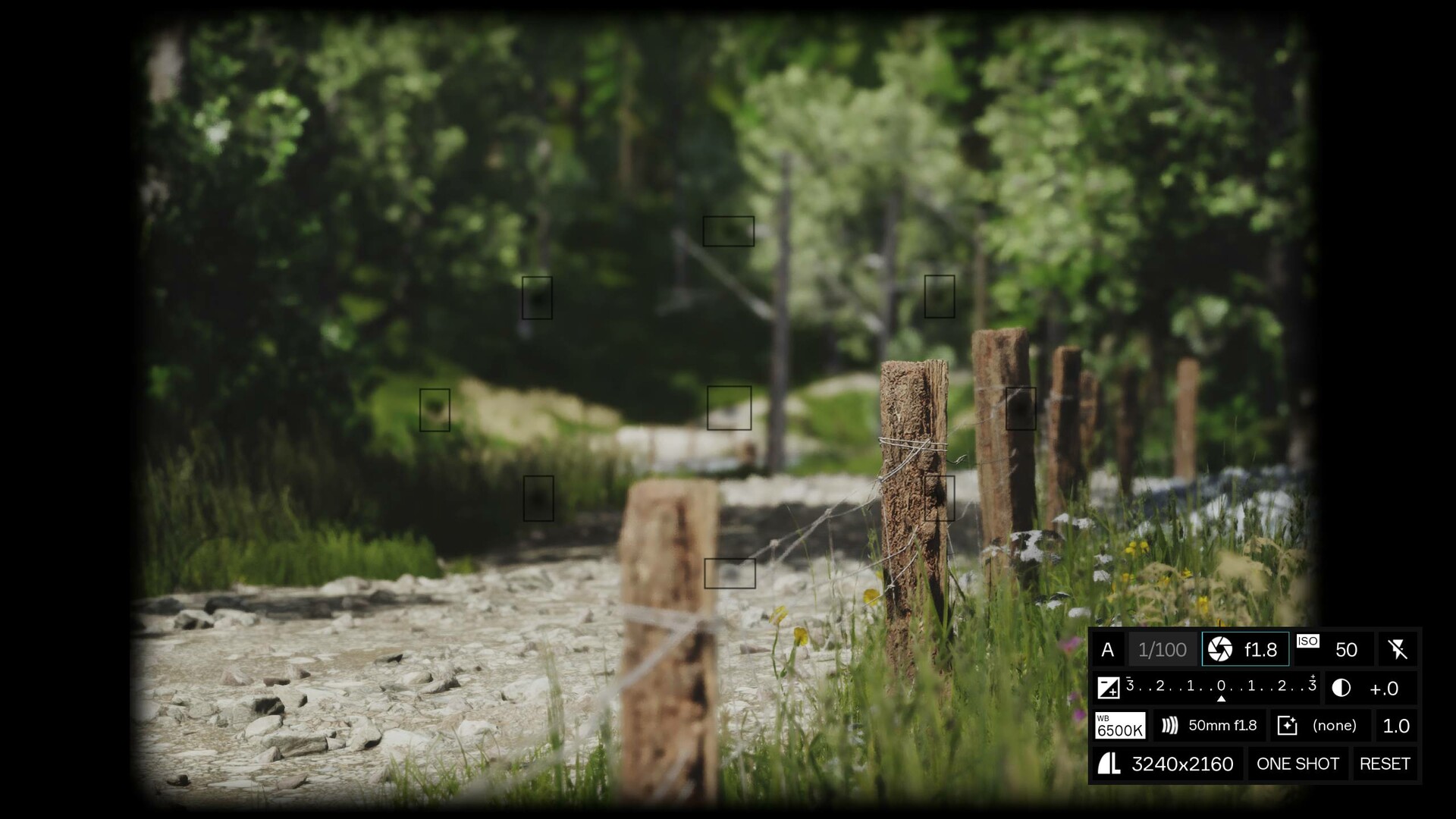 模拟美景摄影/Lushfoil Photography Sim_0