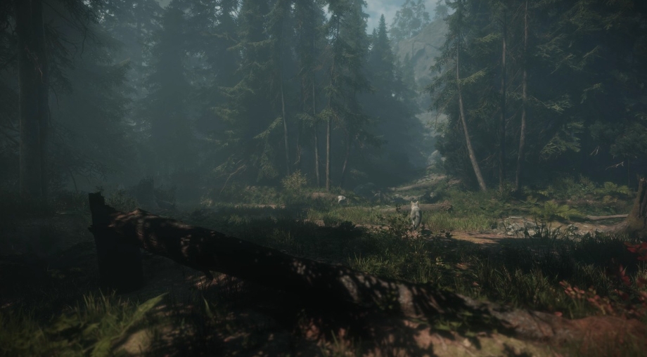 斯盖尔之女.Maid of Sker_1