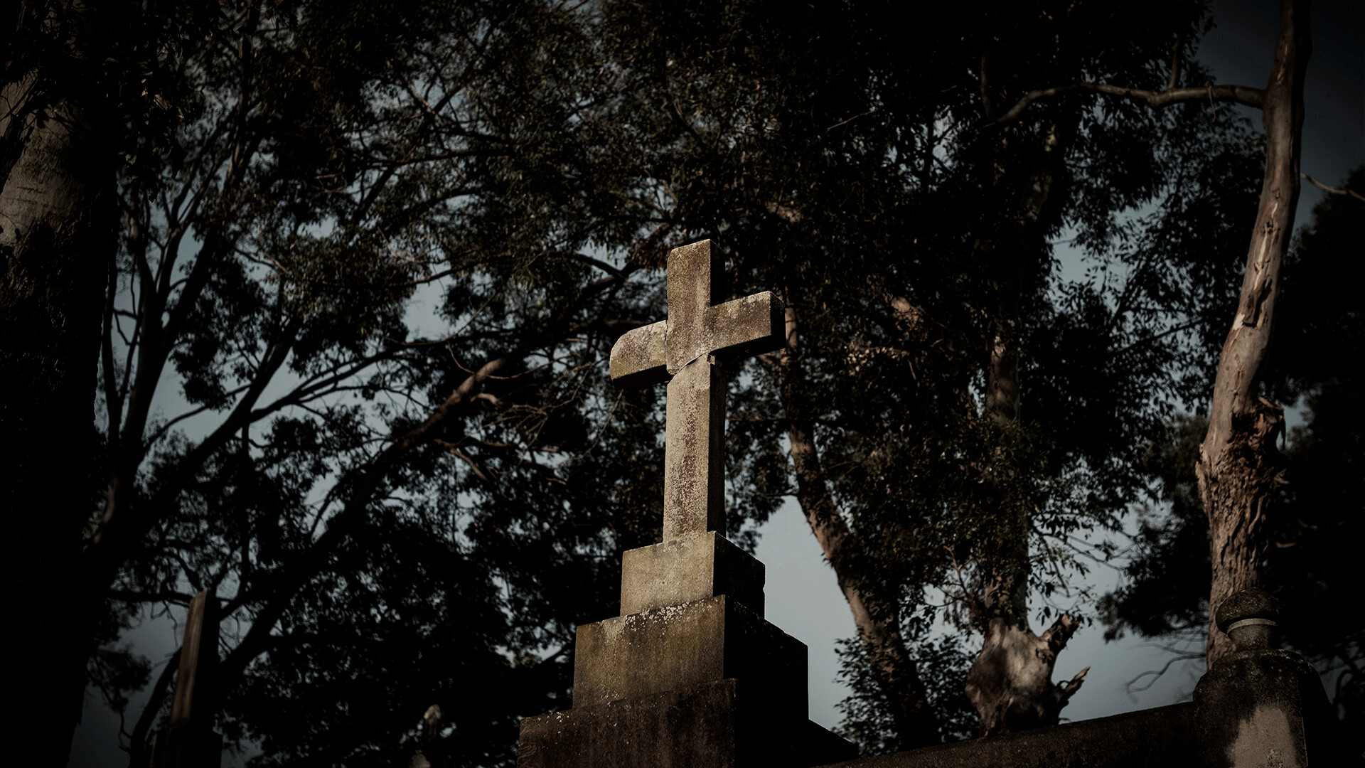 ASZG项目/ASZG Project_1