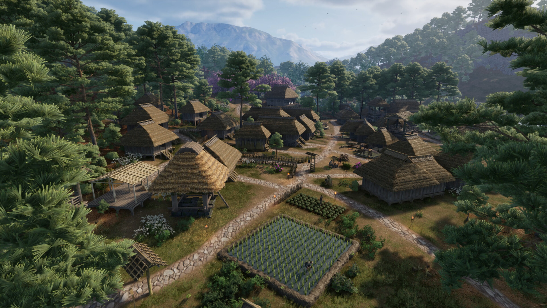 战国王朝/Sengoku Dynasty_1