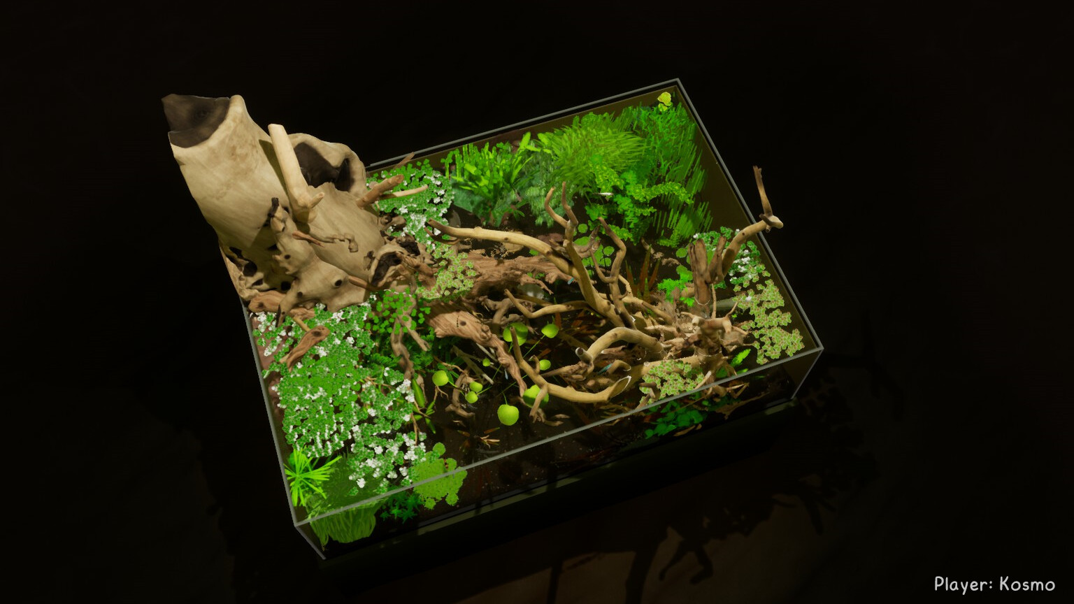 养鱼模拟器/Fish Game_0