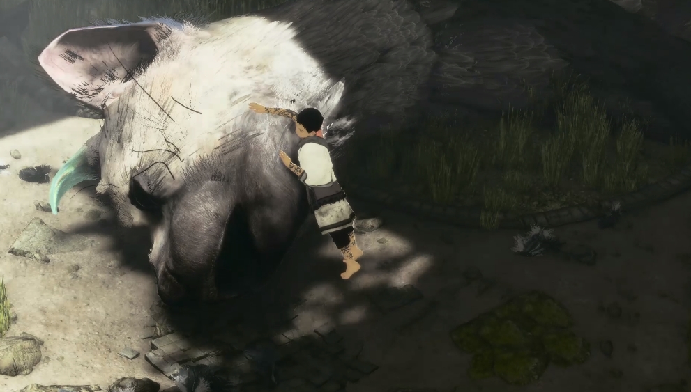 【5.05】PS4游戏《最后的守护者.The Last Guardian》中文1.03下载