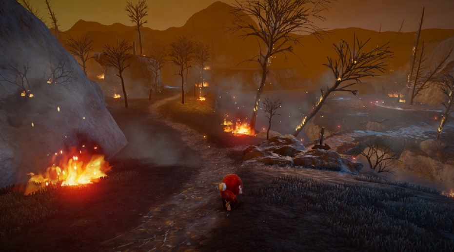 狨狨历险记.Tamarin_1