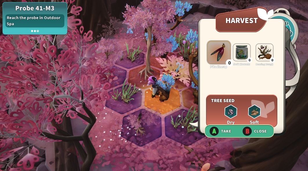 远花/Distant Bloom_1