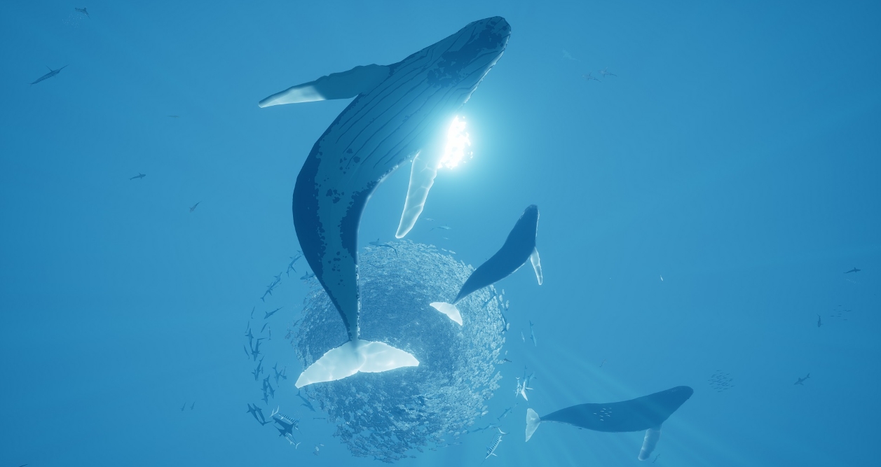 智慧之洋 ABZU_1