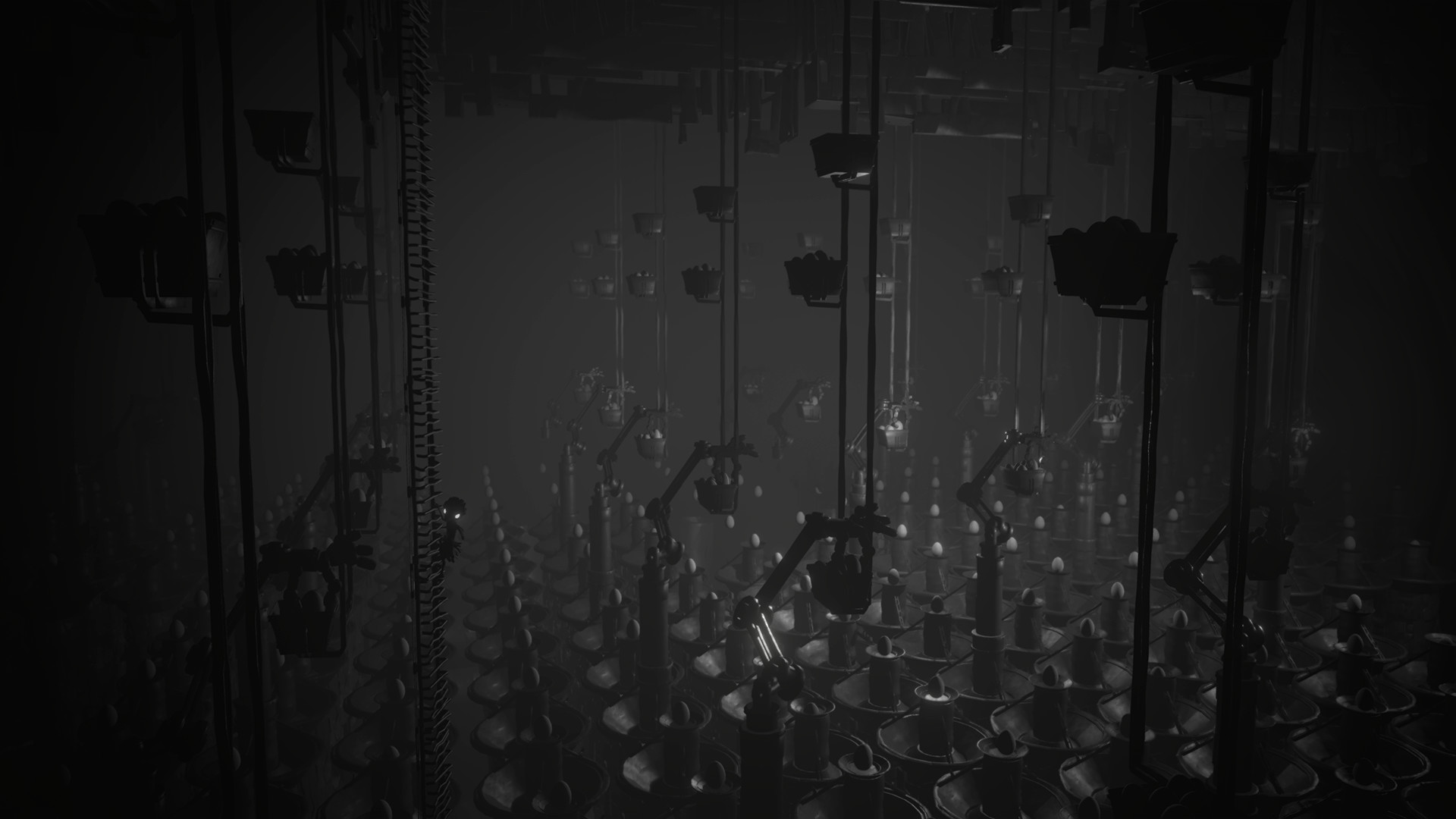 白色阴影/White Shadows_0