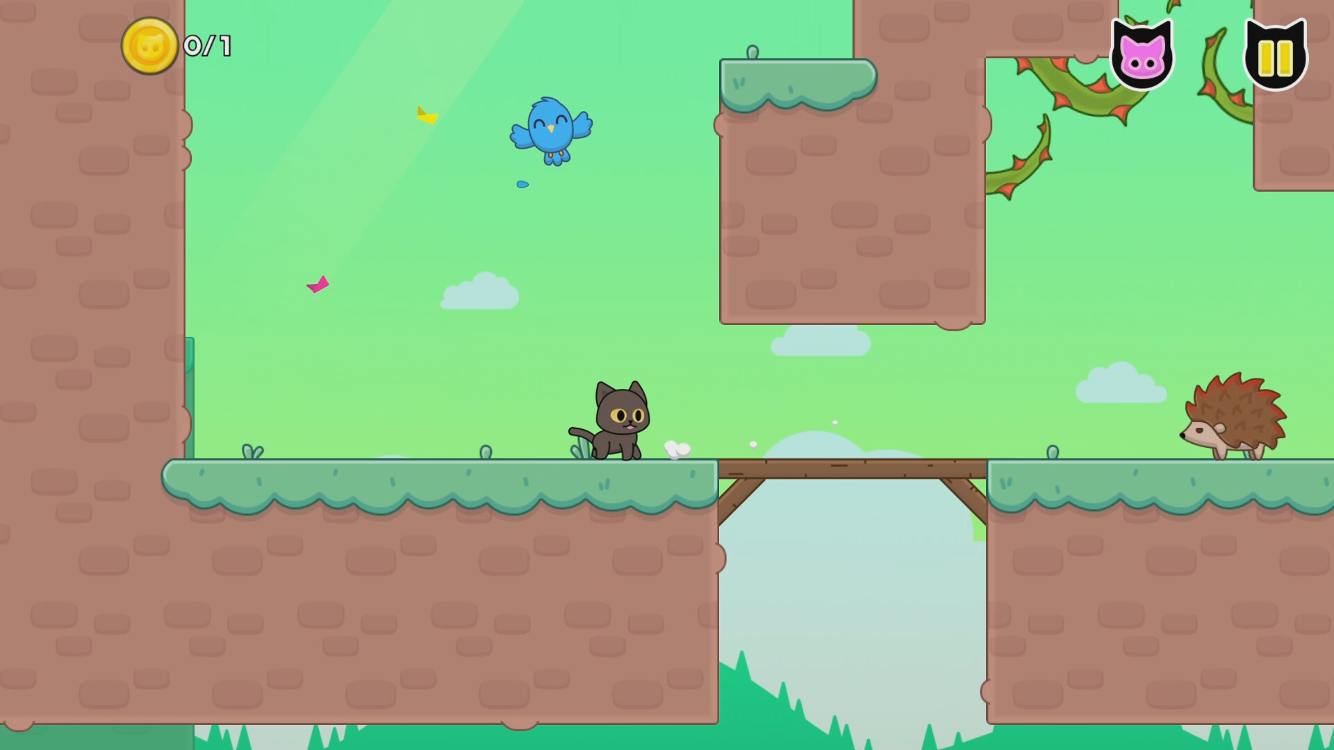 猫咪爱鸟/Kitty Loves Birds_1