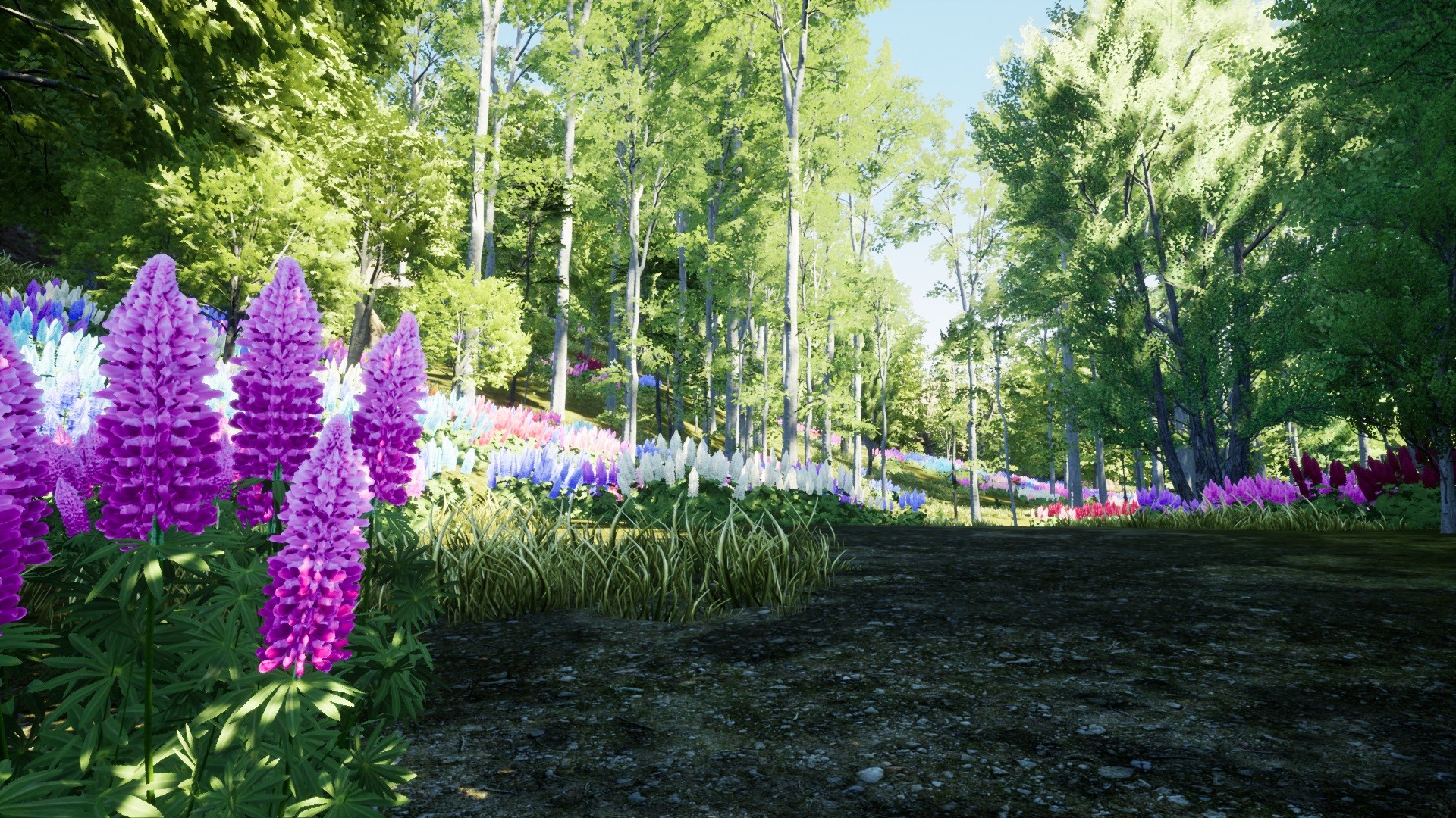 自然猎人/Nature Hunter_1