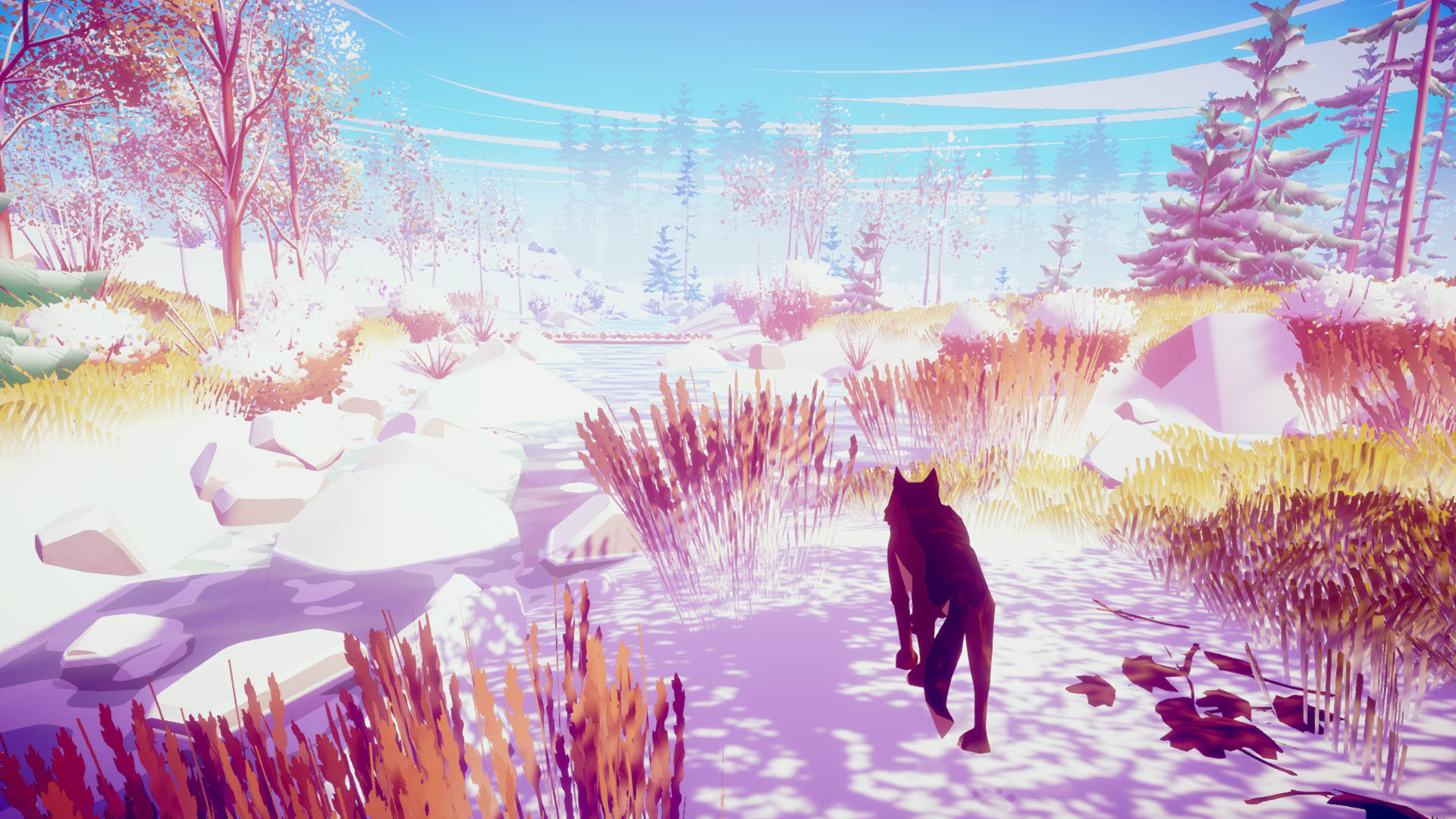 我的狼：桌面野生宠物/MY WOLF - Desktop Wild Pet_0