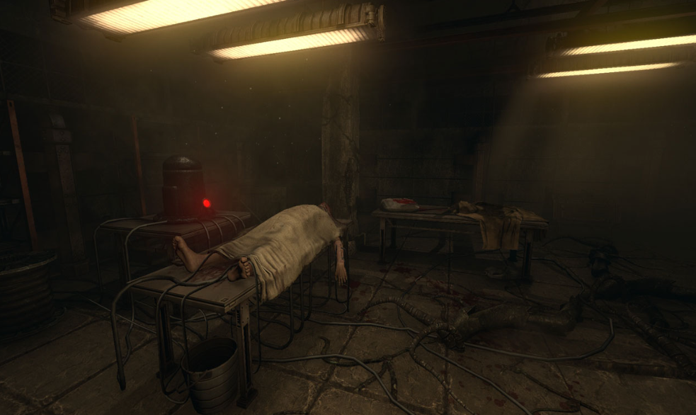 活体脑细胞 SOMA_1