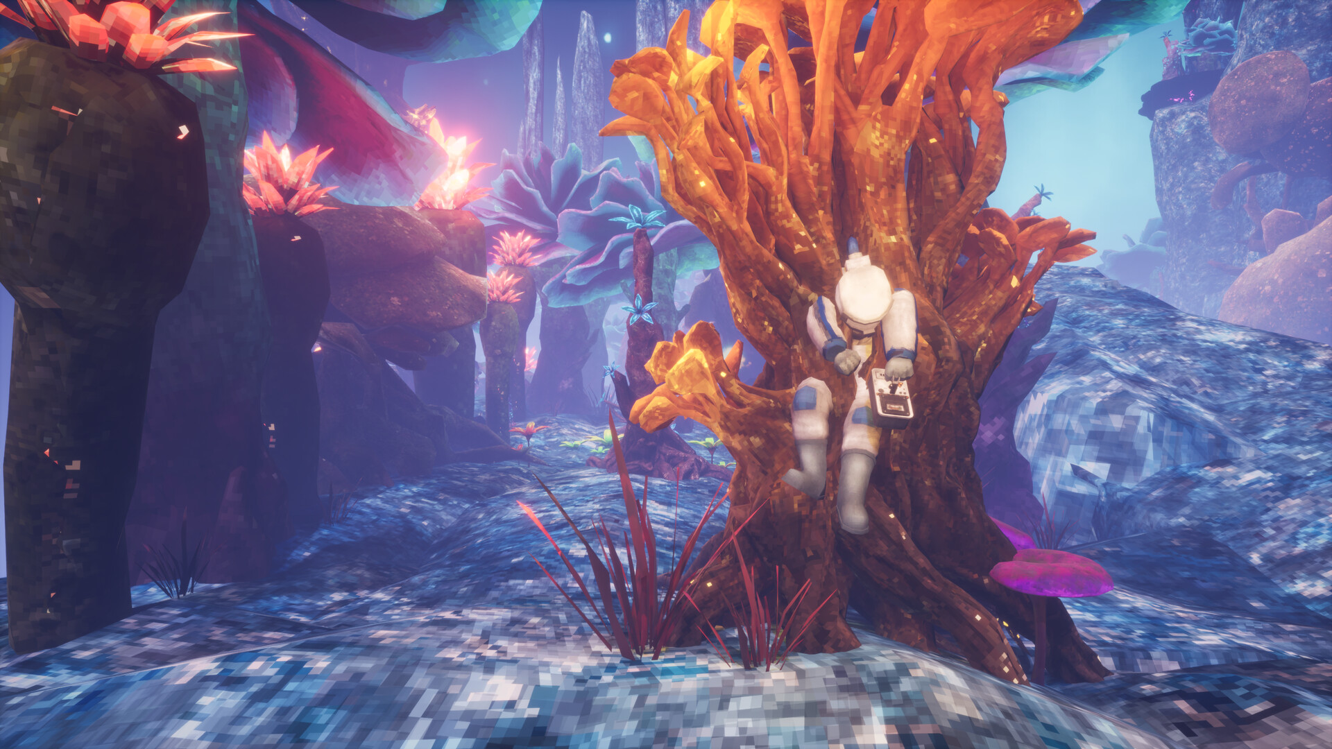 非生物因素/Abiotic Factor_1