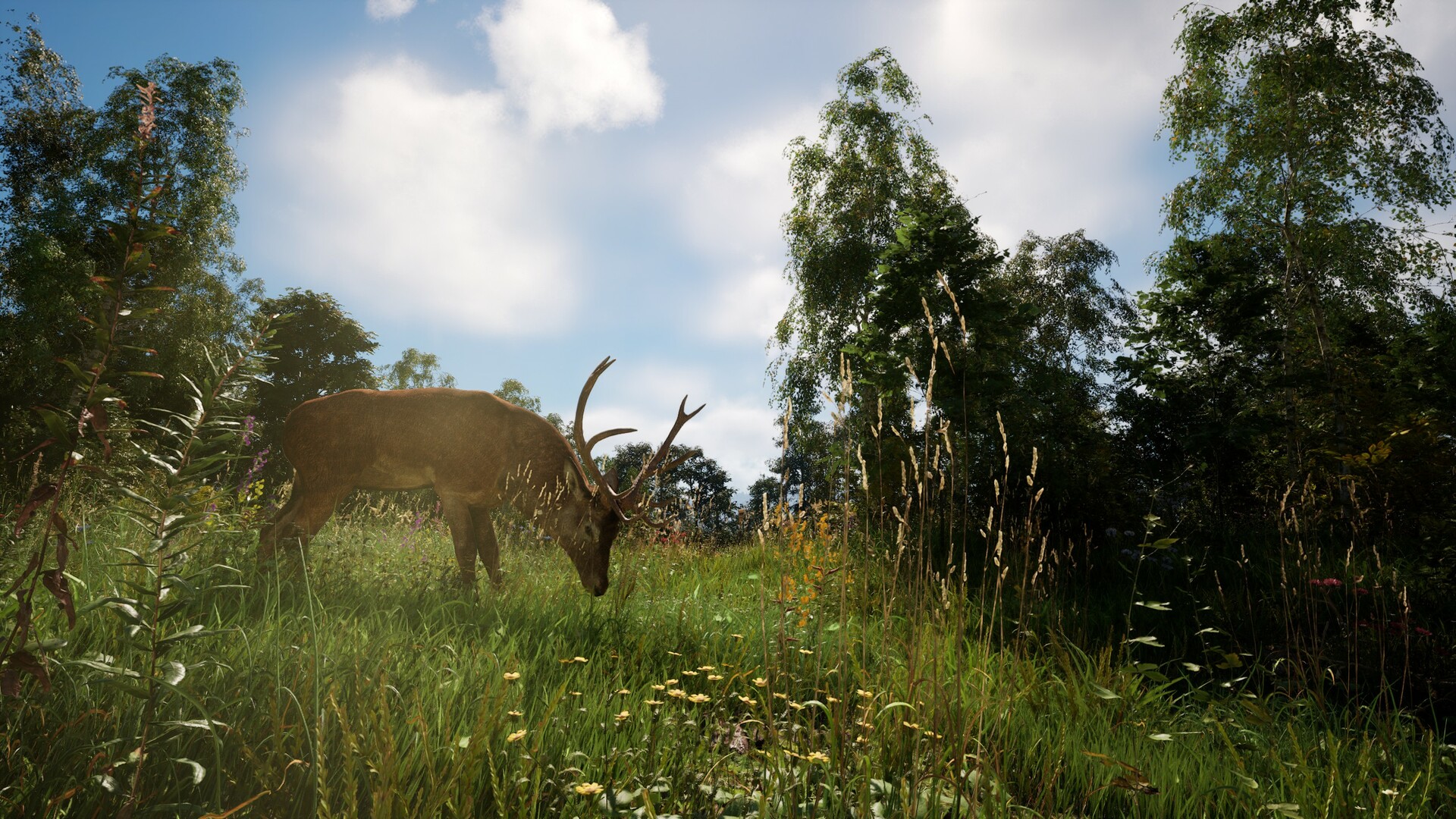 恐惧地带/DREADZONE_0