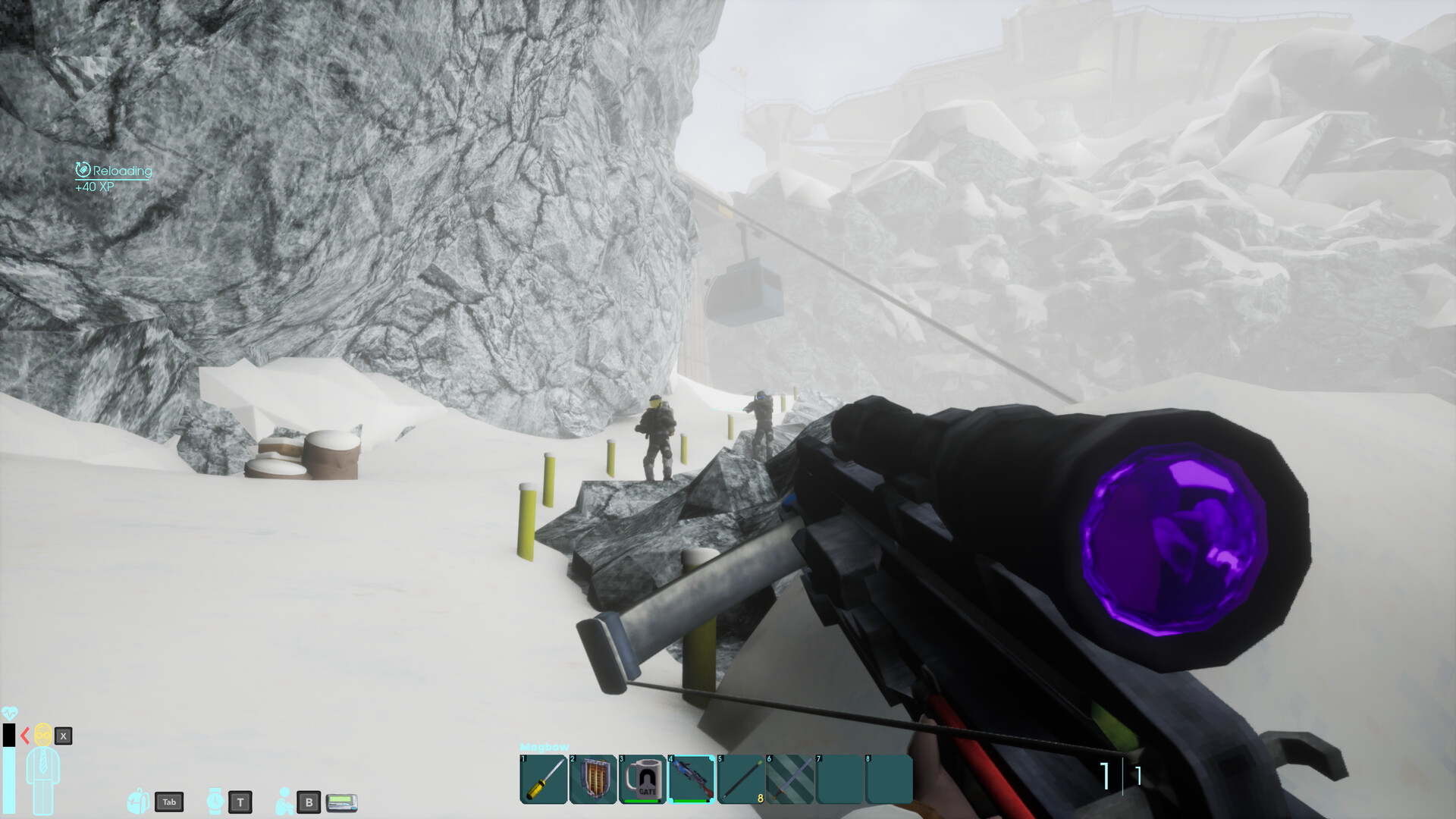 非生物因素/Abiotic Factor_0