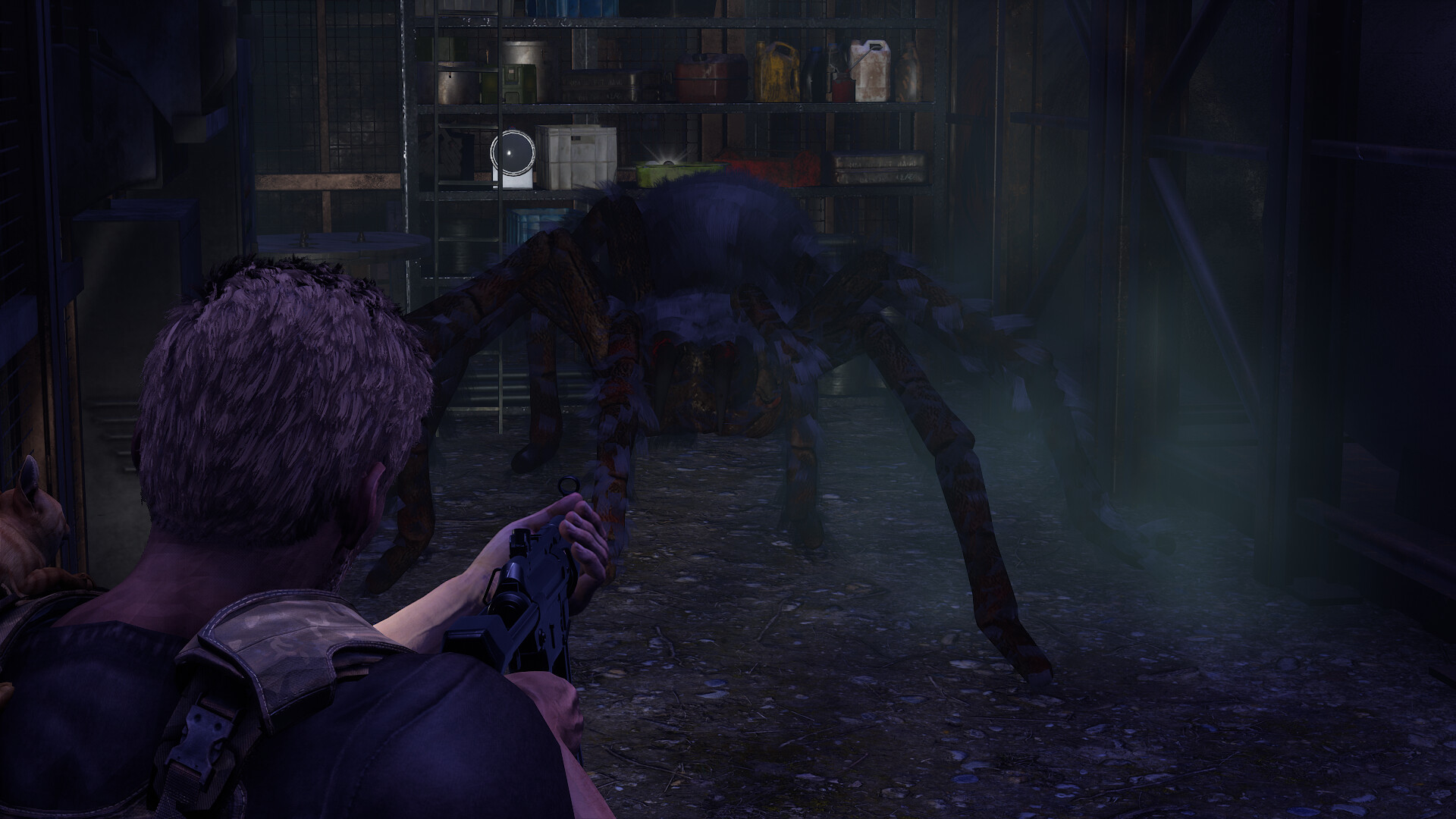 衰变起源/DecayZ Origin_0